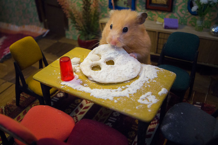 Изображение: Hungry Hungry Hamsters.