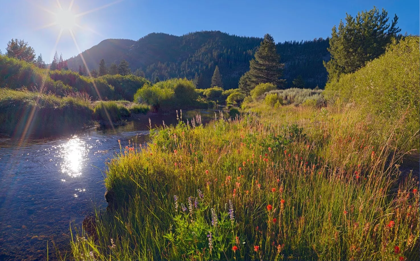 В Калифорнии открылся “секретный природный парк”