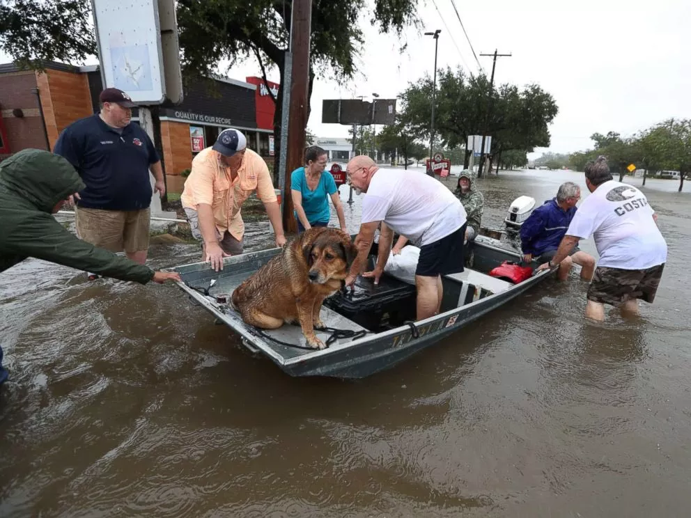Волонтеры и соцсети помогают жителям Техаса пережить наводнение. Как обратиться за помощью?