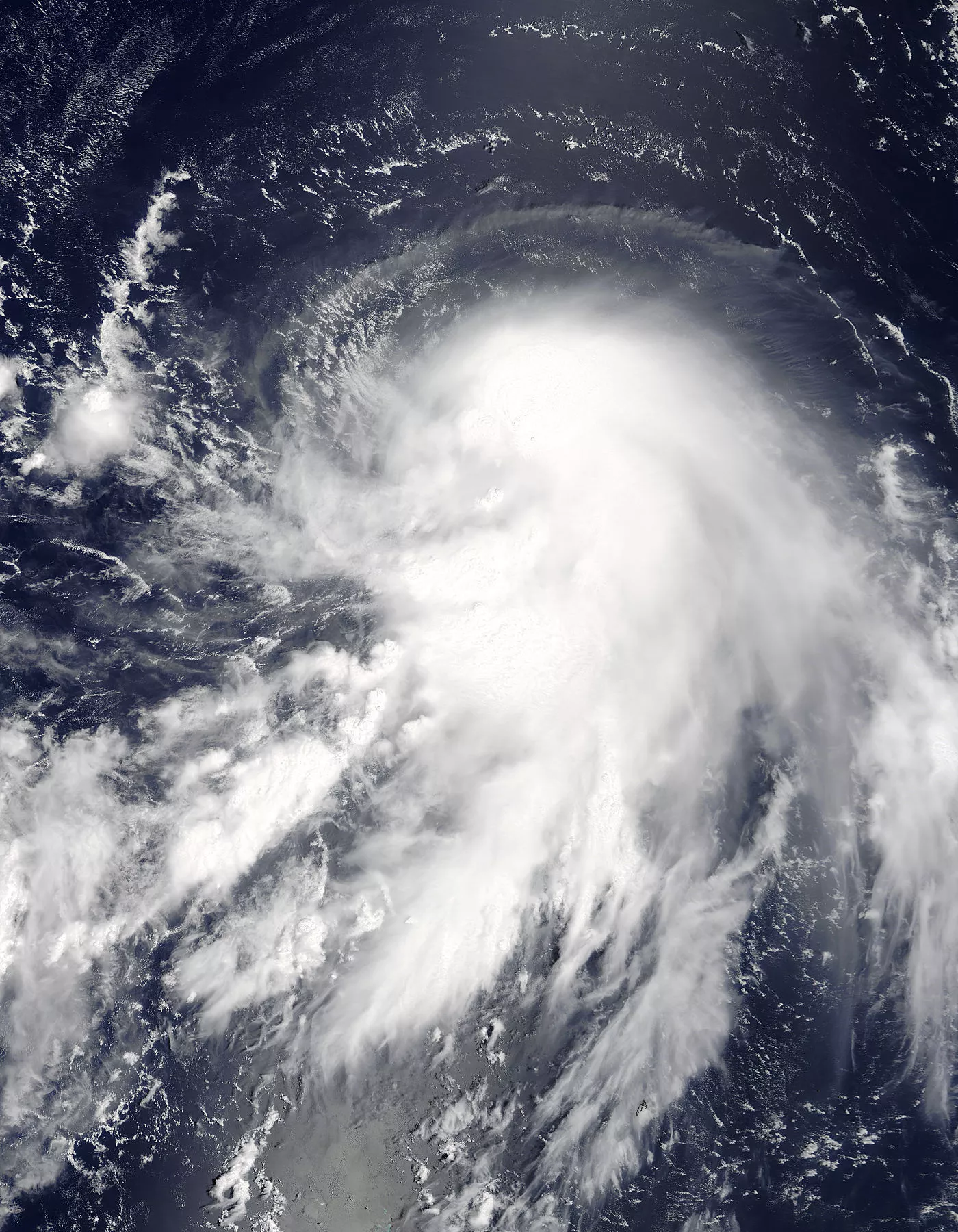Новая угроза: в Тихом океане образовывается новый тайфун
