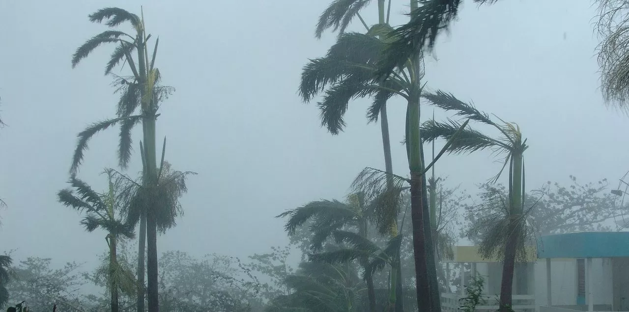 Ураган «Дельта» приближается к берегам США: чего от него ждать