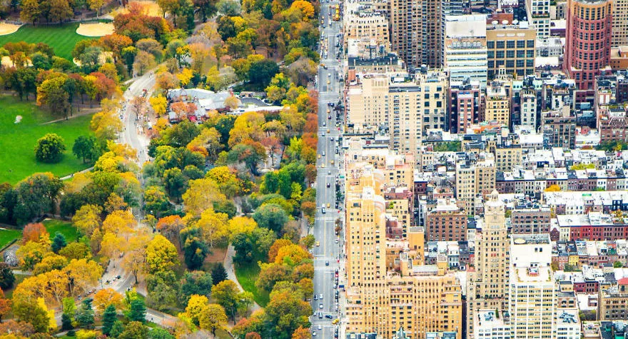 5 фотографий, после которых вы еще больше полюбите Центральный парк в Нью-Йорке