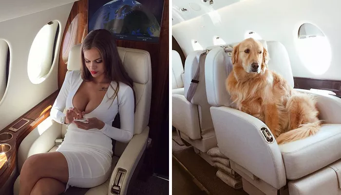 И пусть умрут от зависти: российская компания сдает в аренду частный самолет для instagram-фотографий