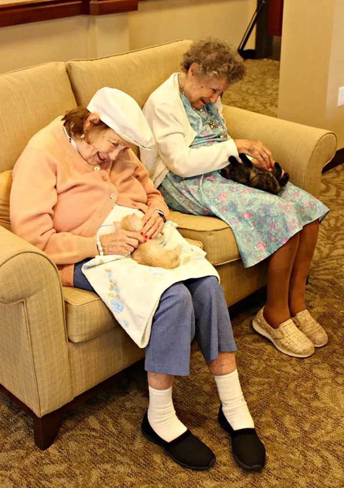 Идеальное сочетание: приют для животных сотрудничает с домом престарелых (ФОТО)