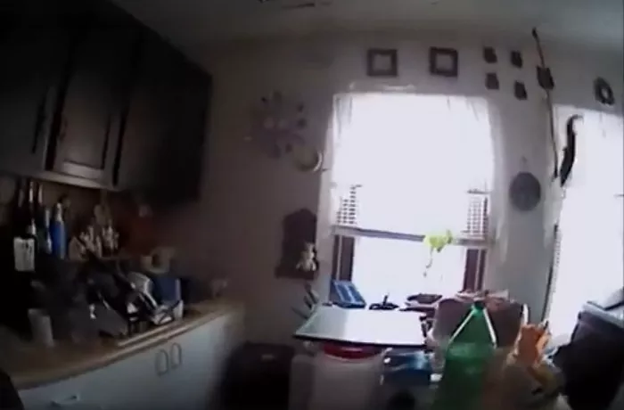 Полиция хотела выгнать из дома белку, но та дала им жесткий отпор (видео)