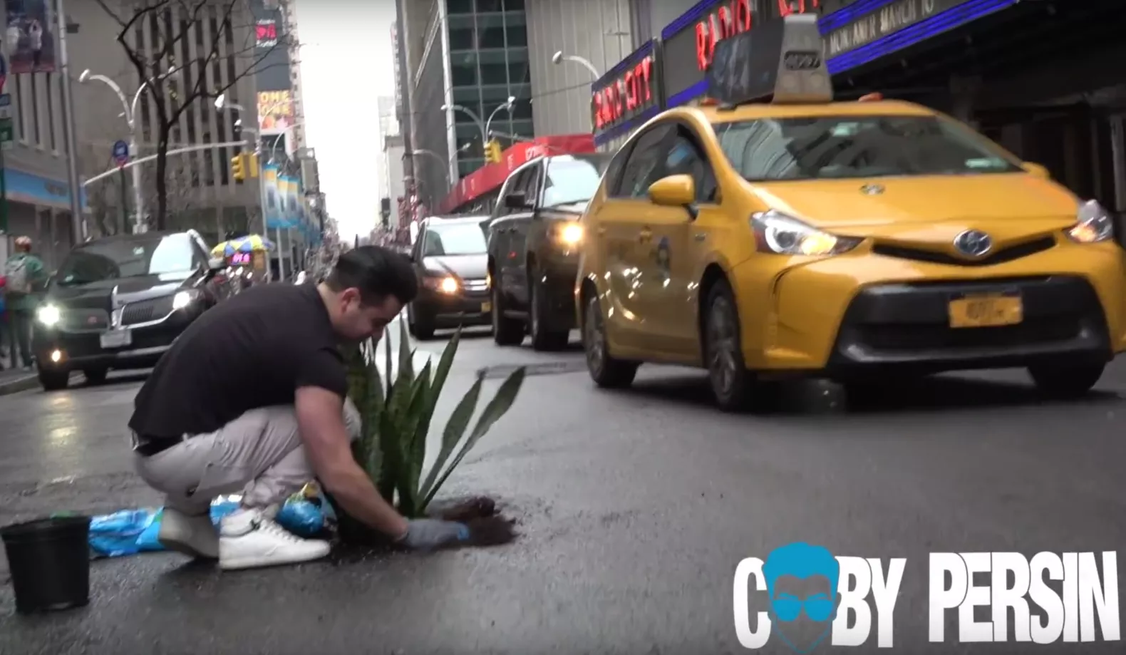 Пранкер оригинально борется с ямами на дорогах Нью-Йорка: он сажает туда растения