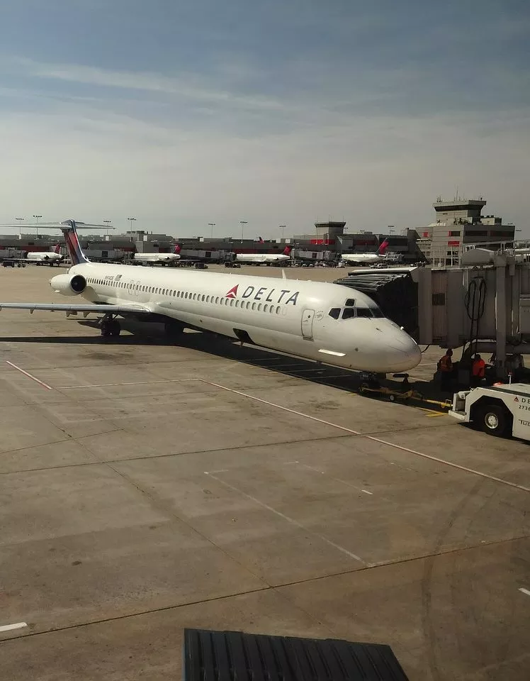 Cотрудники Delta Airlines привязали инвалида пледом к креслу и попросили заткнуться