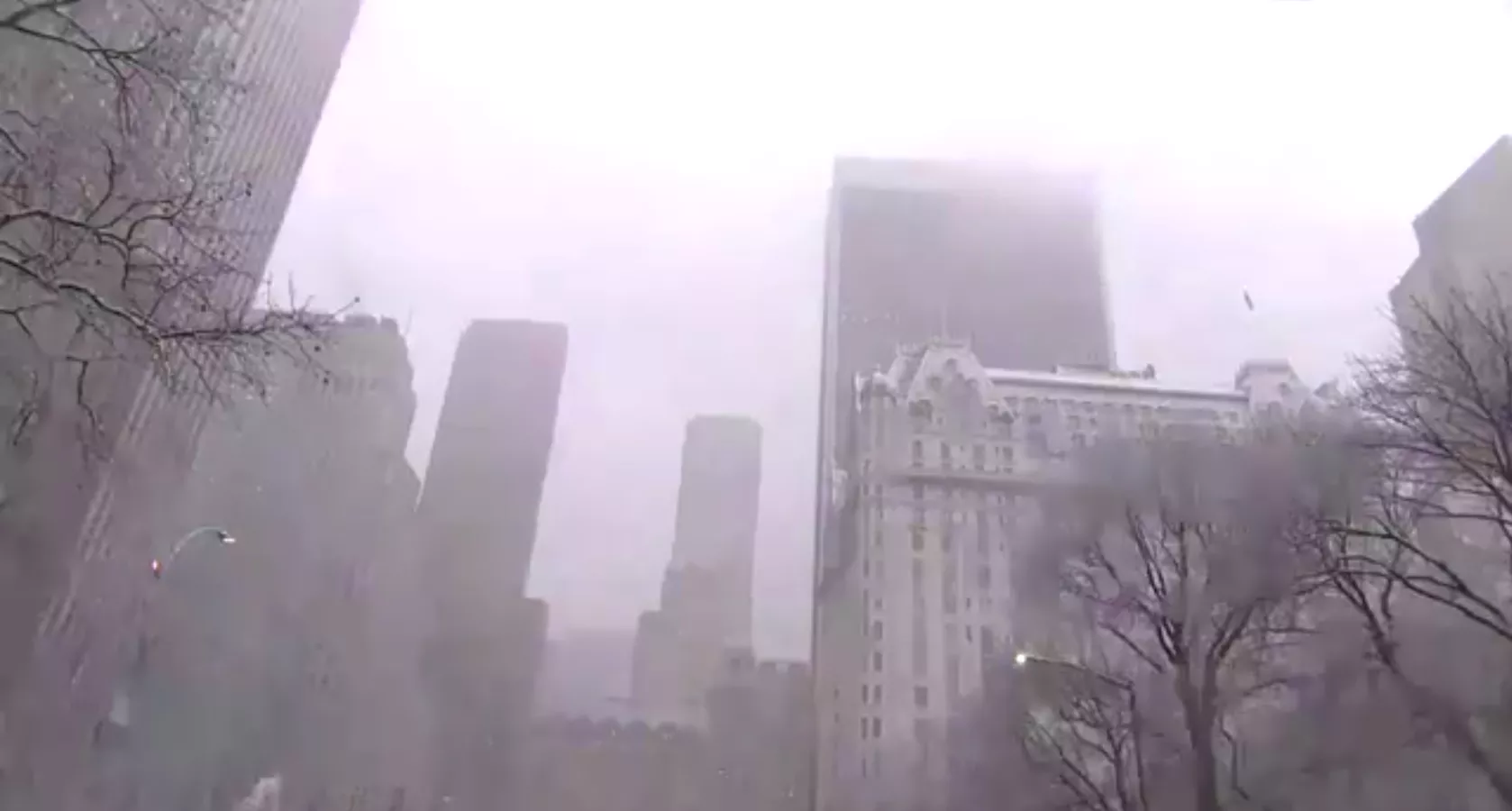 Жители Нью-Йорка столкнулись с феноменом снежной грозы (видео)