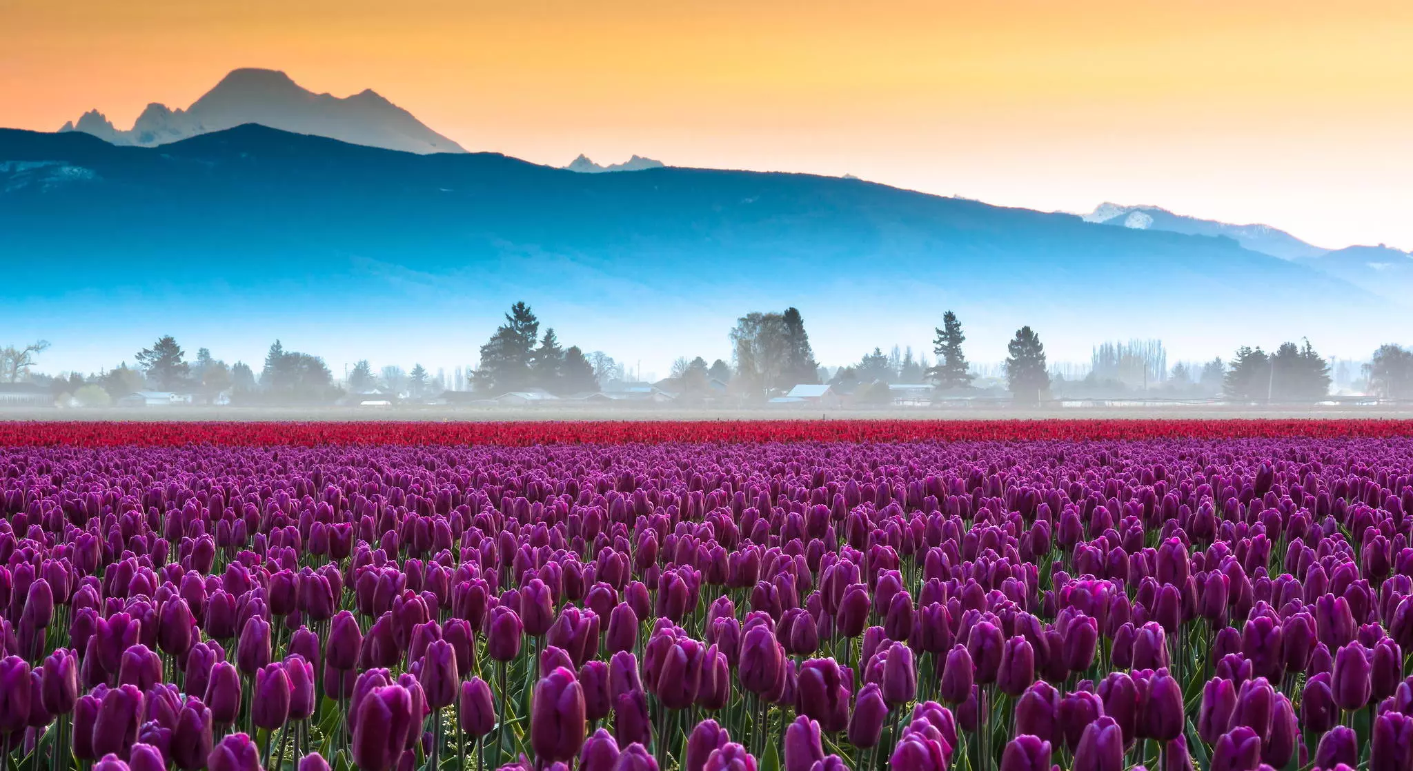 10 фантастических мест в США, где можно увидеть самую красивую весну