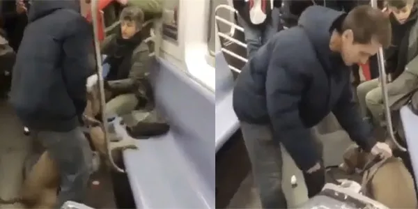 В вагоне Нью-Йоркского метро женщину атаковал питбуль (видео)