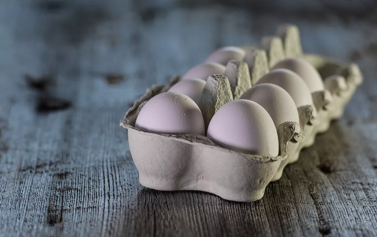 В США стоимость яиц достигла $1 за штуку