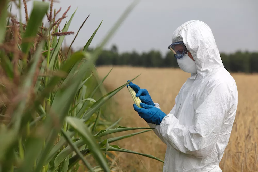На американских продуктах перестанут упоминать наличие ГМО