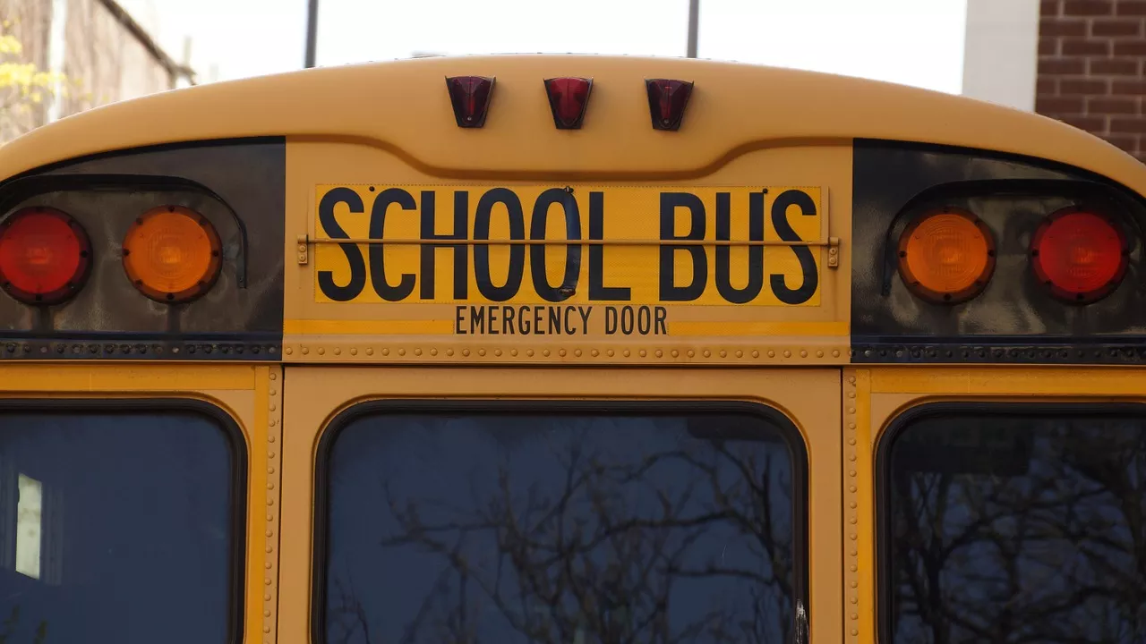 Правила проезда мимо школьных автобусов в США