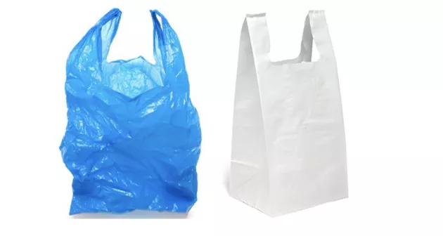 Жителям Нью-Йорка запретили использовать пластиковые пакеты