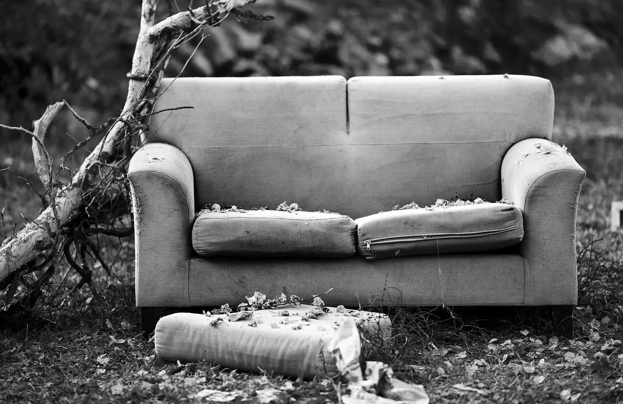 Жительница Калифорнии купила диван и нашла в нем клад